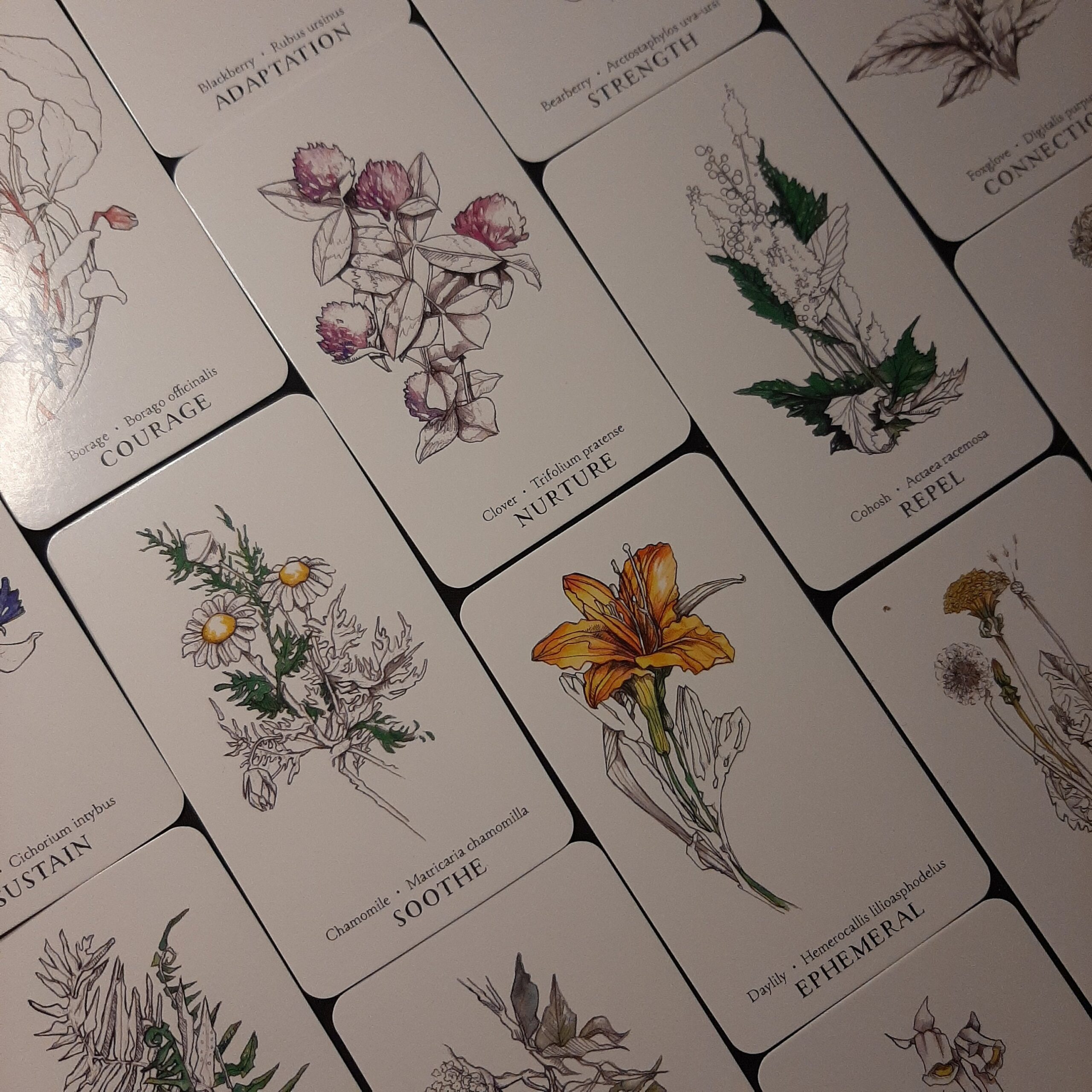 Butterflies Garden Flowers Vegetables Oracle Card Bookmark with Tassel, and Optional Custom Bindrune/Sigil, Intuitively Chosen, Mini Reading - Image 4