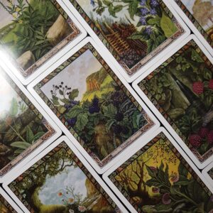 Butterflies Garden Flowers Vegetables Oracle Card Bookmark with Tassel, and Optional Custom Bindrune/Sigil, Intuitively Chosen, Mini Reading