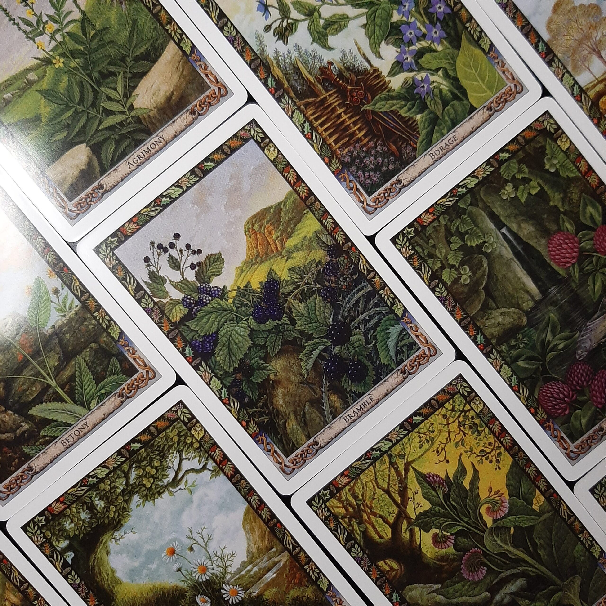 Butterflies Garden Flowers Vegetables Oracle Card Bookmark with Tassel, and Optional Custom Bindrune/Sigil, Intuitively Chosen, Mini Reading